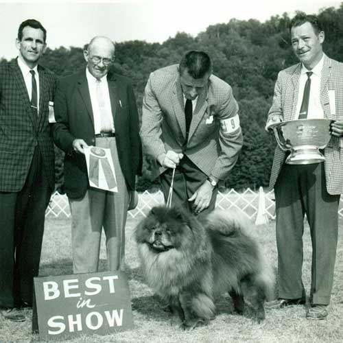 chow chow dog origin