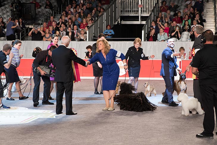 Best in Show, Herding Group First, and Best of Breed: GCHB CH Cordmaker Mister Blue Sky; Puli.