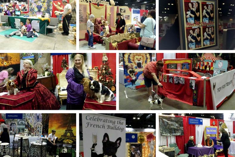 Incredible Booths from Meet the Breeds 2017