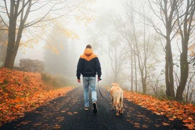 responsible dog owner
