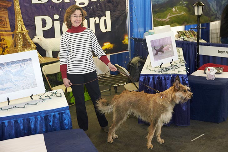 The Berger Picard booth at AKC Meet the Breeds, Meet and Compete 2019, New York, NY.