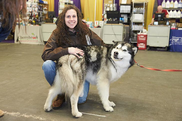An Alaskan Malamute meets a new friend at AKC Meet the Breeds, Meet and Compete 2019, New York, NY.