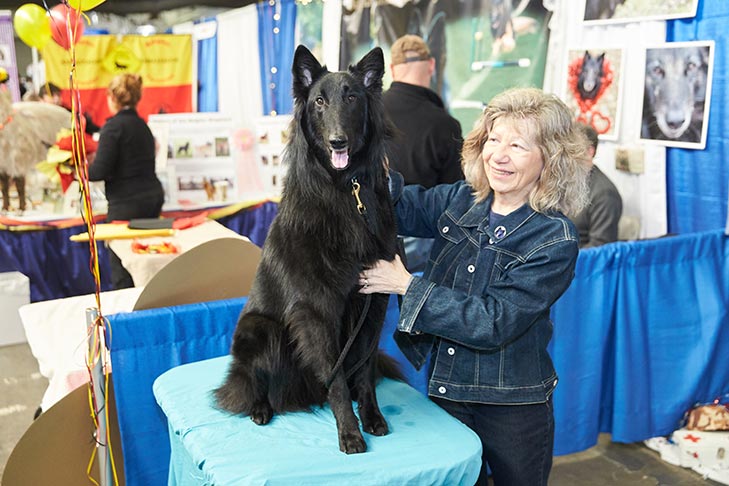 The Belgian Sheepdog booth at AKC Meet the Breeds, Meet and Compete 2019, New York, NY.