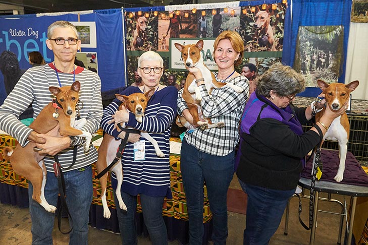 The Basenji booth at AKC Meet the Breeds, Meet and Compete 2019, New York, NY.