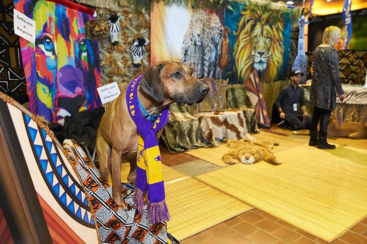 The Rhodesian Ridgeback booth at AKC Meet the Breeds, Meet and Compete 2019, New York, NY.