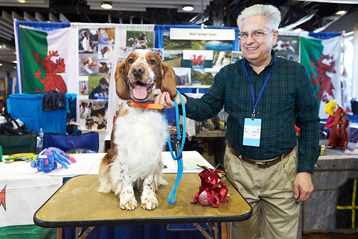 The Welsh Springer Spaniel booth at AKC Meet the Breeds, Meet and Compete 2019, New York, NY.