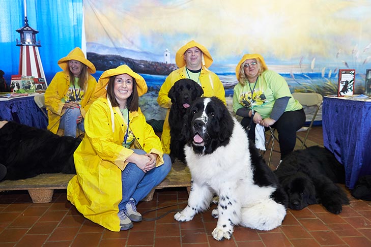 The Newfoundland booth at AKC Meet the Breeds, Meet and Compete 2019, New York, NY.