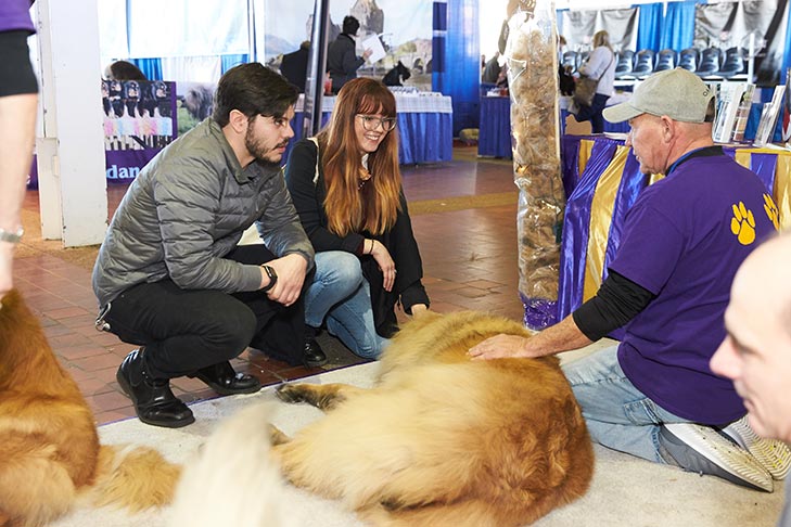 The Leonberger booth at AKC Meet the Breeds, Meet and Compete 2019, New York, NY.