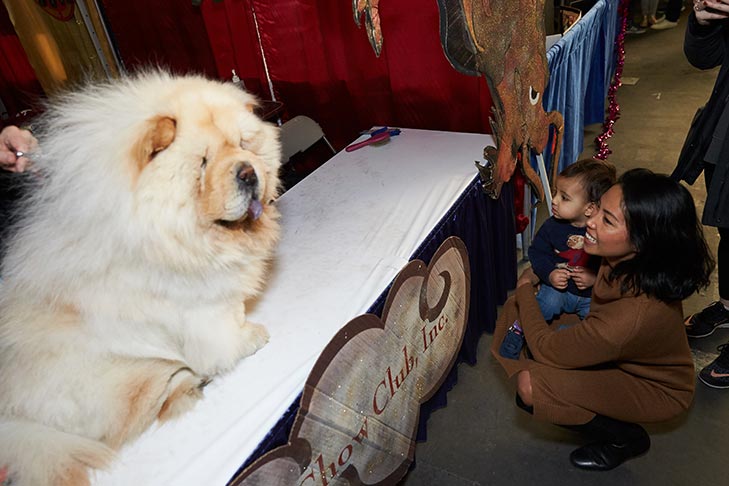 The Chow Chow booth at AKC Meet the Breeds, Meet and Compete 2019, New York, NY.
