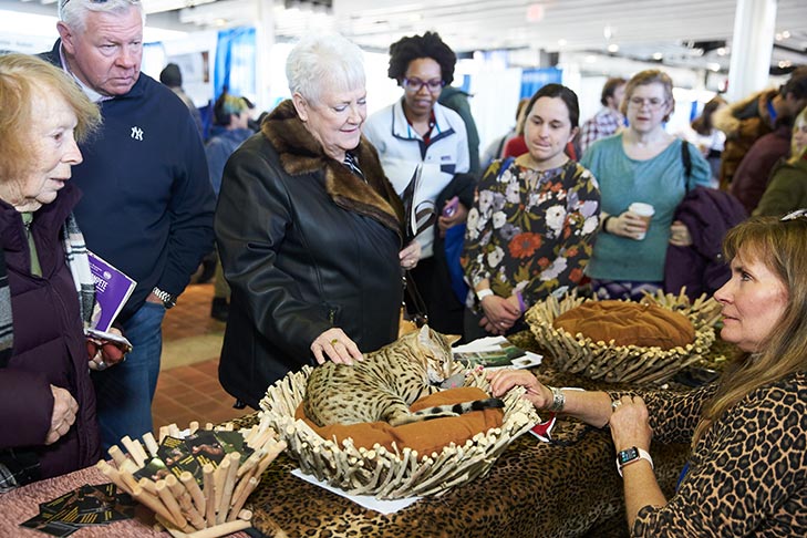 A cat booth from the International Cat Association participating at AKC Meet the Breeds, Meet and Compete 2019, New York, NY.
