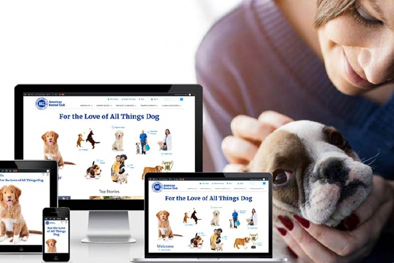New Site Woman with Frenchie