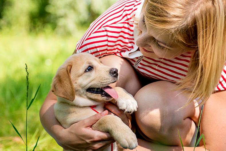 Retriever Puppy with Woman