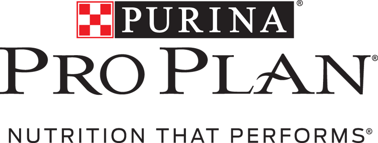 sponsor image