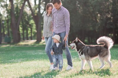 dogwalking-header