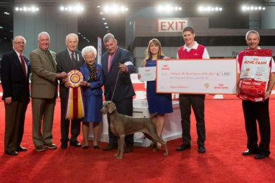 puppy winner