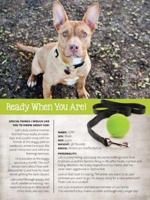 pet resume pdf writing a cv funny dog