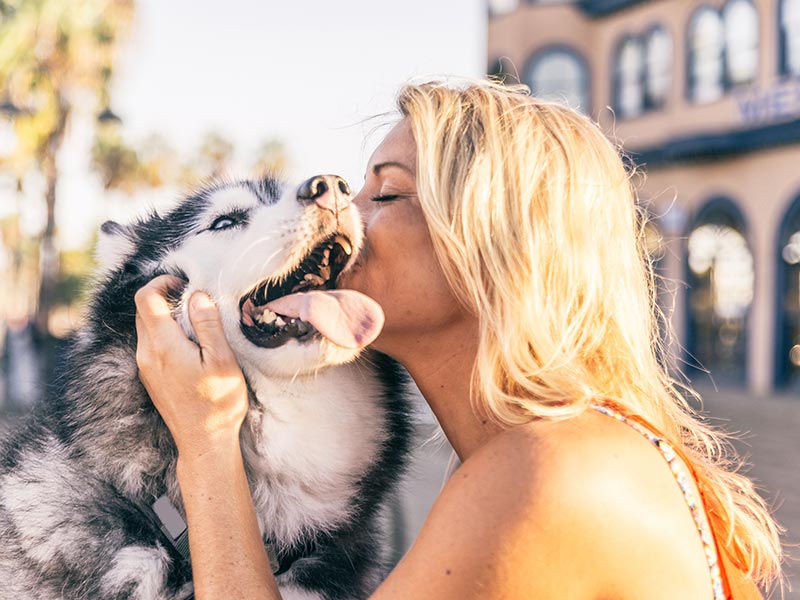 happy owner happy dog