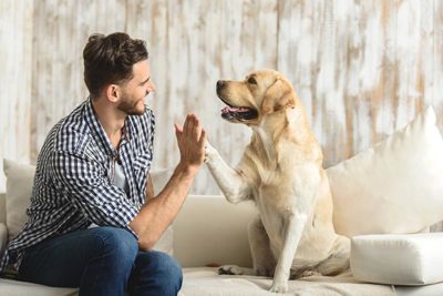 high five