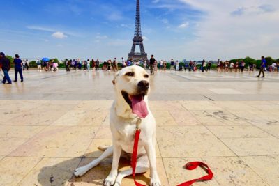 lab-in-paris-header