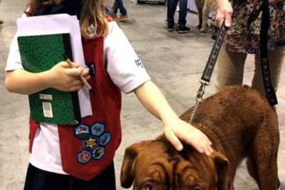 Public Education Educator Resources AKC Patch Program