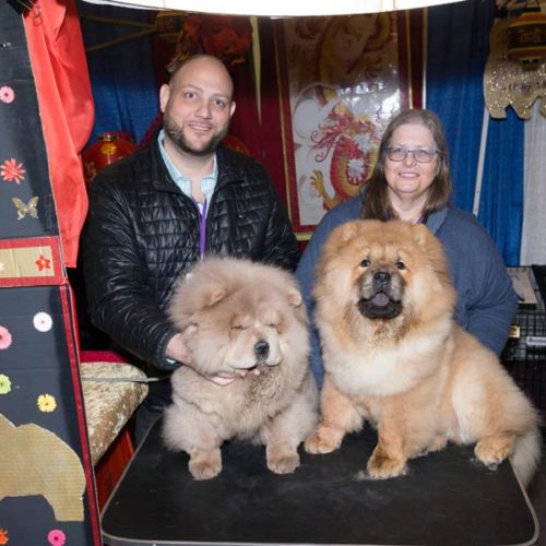 akc breed standings 2018