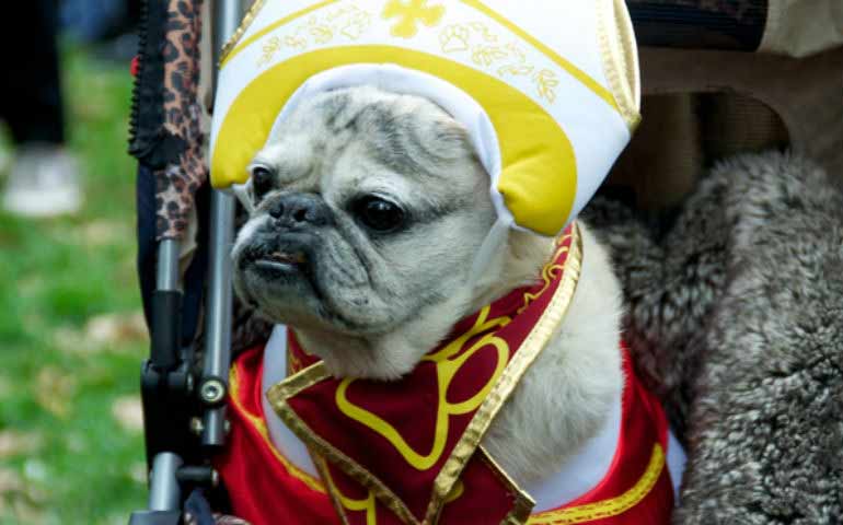 halloween dog parade header optimized