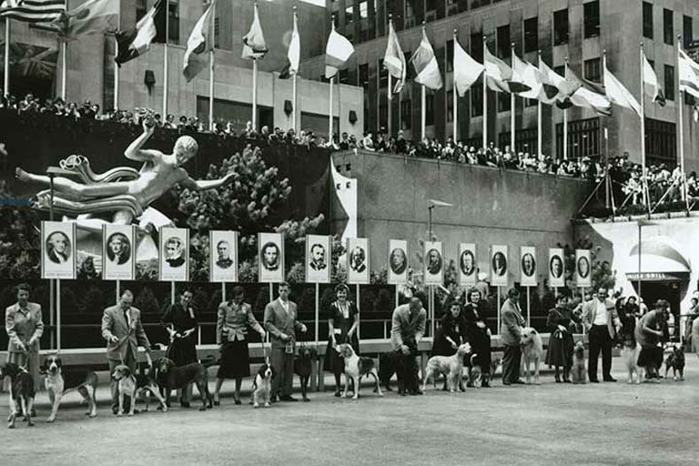 National Dog Week History Rockefeller Center