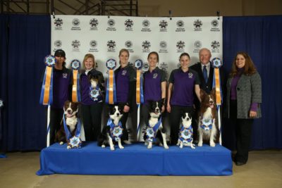 national agility champions