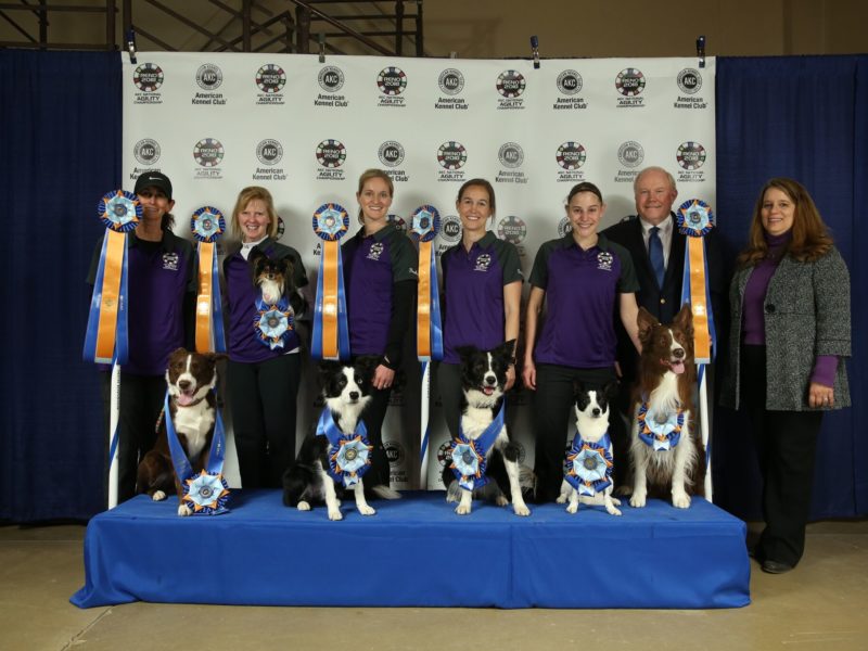 national agility champions