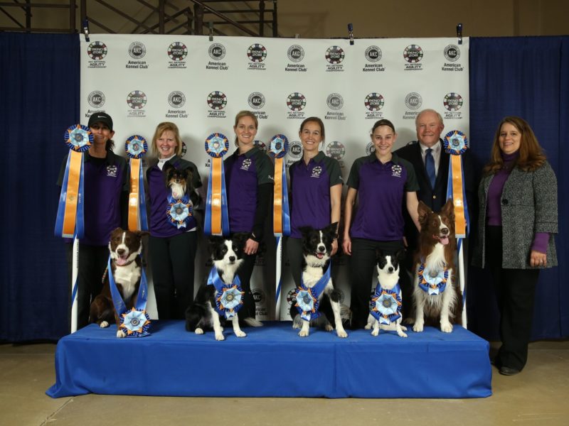 akc invitational 2018