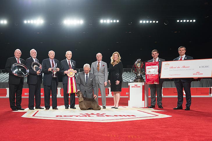 Best in Show GCHP CH Silverhall Strike Force (Striker), Cocker Spaniel ASCOB; 2017 AKC National Championship presented by Royal Canin, Orlando, FL.