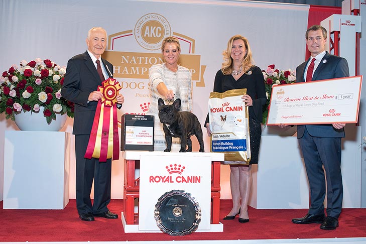 Reserve Best in Show, Non-Sporting Group First, Best of Breed: GCHG CH Le Petit Prince De La Bete (Princeton), French Bulldog; 2017 AKC National Championship presented by Royal Canin, Orlando, FL.