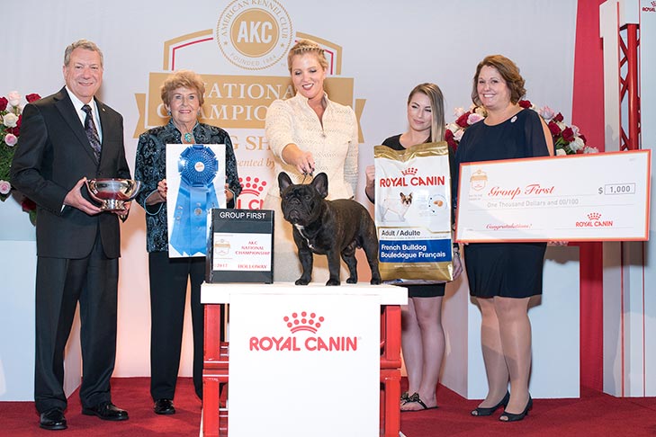 Non-Sporting Group First: GCHG CH Le Petit Prince De La Bete (Princeton), French Bulldog; 2017 AKC National Championship presented by Royal Canin, Orlando, FL.