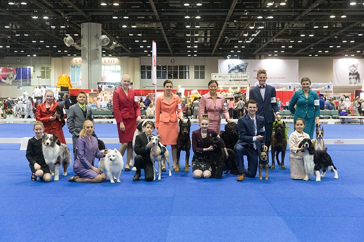 A group of junior handlers for Junior Showmanship at the 2017 AKC National Championship presented by Royal Canin, Orlando, FL.