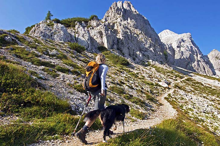 Woman hiking with dog in the mountains
