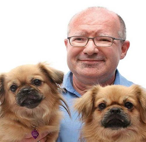 find a stud dog kennel club