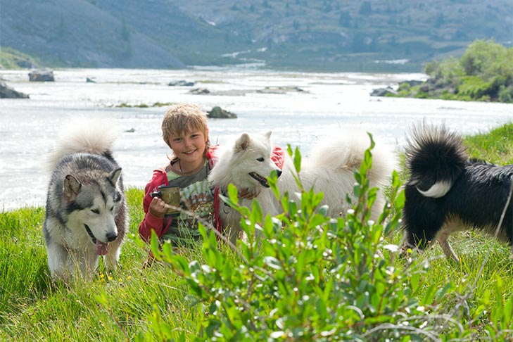 dogs and kids