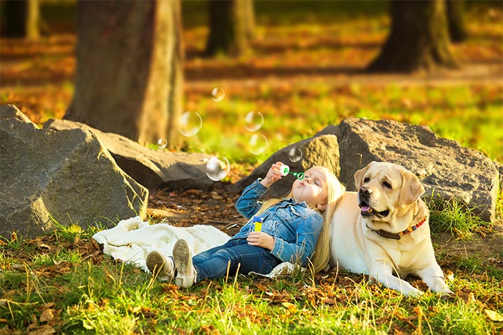 dogs and kids