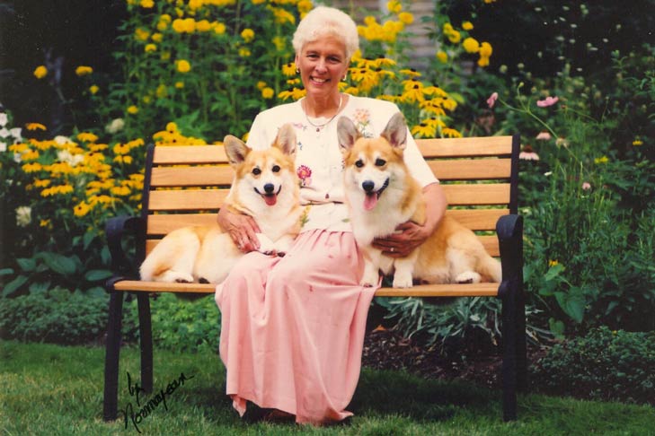 anne bowes pembroke welsh corgis