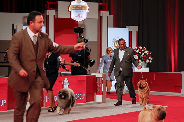 Best of Breeds Keeshond, Chow Chow, and Chinese Shar-Pei; Non-Sporting Group judging at the 2017 AKC National Championship presented by Royal Canin, Orlando, FL.
