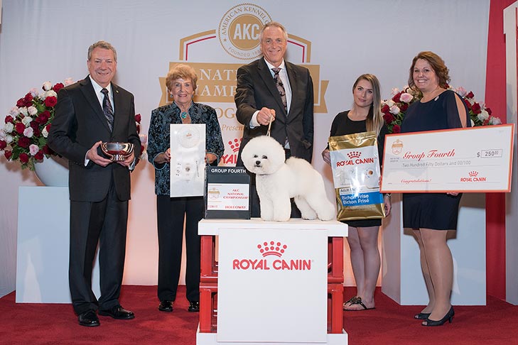 Non-Sporting Group Fourth and Best of Breed: GCHP CH Belle Creek's All I Care About Is Love (Flynn), Bichon Frise; 2017 AKC National Championship presented by Royal Canin, Orlando, FL.