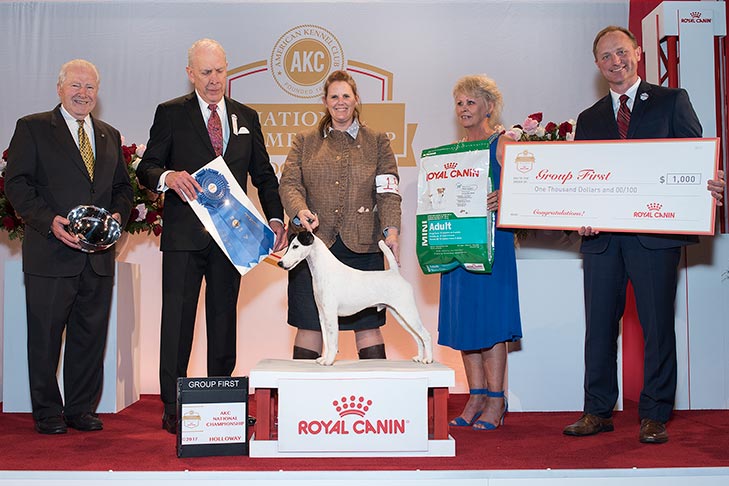 Terrier Group First, Best of Breed, and Best Bred By in Breed: GCHG CH Absolutely Signature, Smooth Fox Terrier; 2017 AKC National Championship presented by Royal Canin, Orlando, FL.