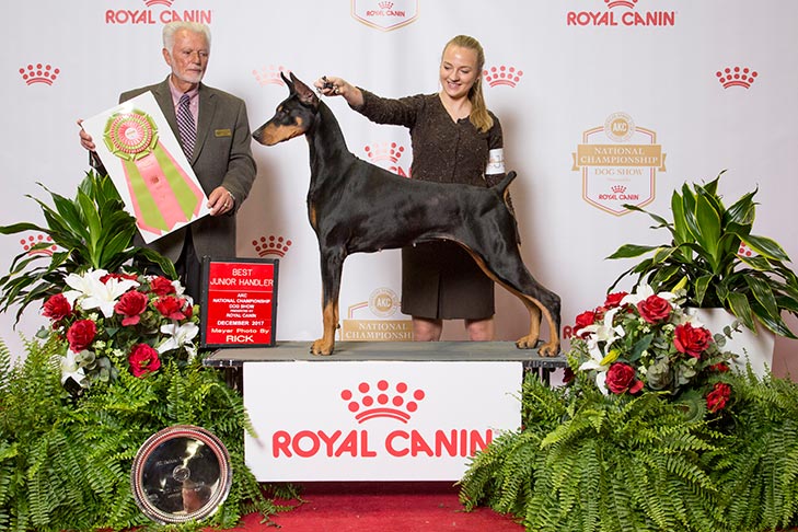2017 Best Junior Handler: Erin LaPlante handling GCH CH Fayek I'll Have Another (Doberman Pinscher).