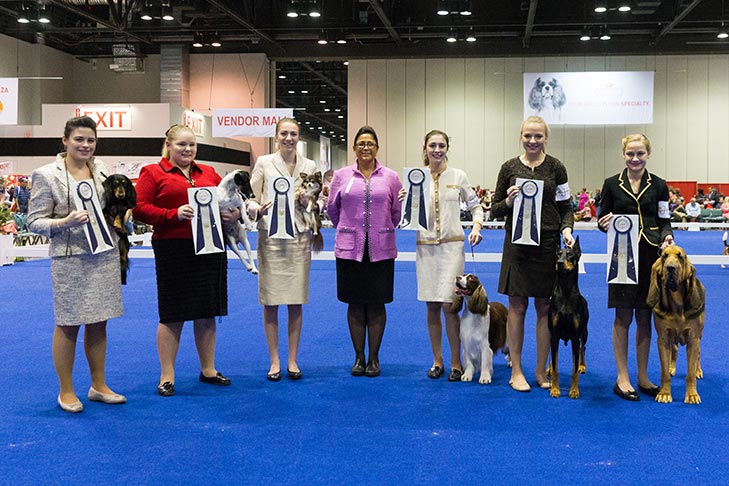 2017 Junior Showmanship Preliminary One finalists (left to right): Rachel Meyers handling GCH CH Baybreeze How Do You Tanqeray RN (Longhaired Dachshund), Adrianna R. Martin handling CH Broxden Spin 2 Win (Smooth Fox Terrier), Samantha Van Buren handling GCHB CH Lake Country's Walking On Sunshine (Longhaired Chihuahua), Preliminary One judge Mrs. Valerie Nunes-Atkinson, Lily Mancini handling GCHG CH Cerise Celtic Thunder (English Springer Spaniel), Erin LaPlante handling GCH CH Fayek I'll Have Another (Doberman Pinscher), Emma Rogers handling Sanctuary's Rock N Roll Experience From Nozenears (Bloodhound).