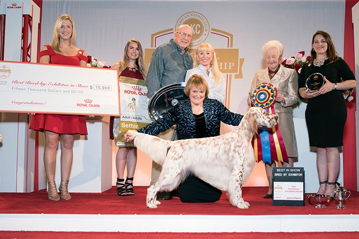 Best Bred By Exhibitor in Show, Bred By Exhibitor Sporting Group First, Best of Breed, and Best Bred By in Breed/Variety: GCHS CH Wingfield N Chebaco Just So You Know, English Setter.
