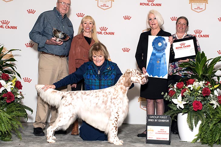 Best Bred By Exhibitor in Show, Bred By Exhibitor Sporting Group First, Best of Breed, and Best Bred By in Breed/Variety: GCHS CH Wingfield N Chebaco Just So You Know, English Setter.