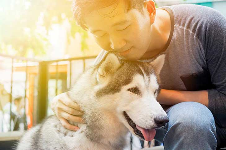 Heartworm Awareness Month