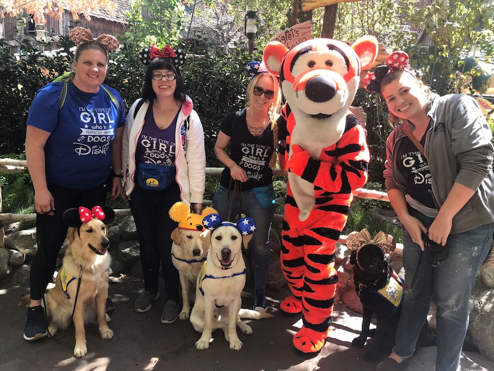 Service Dogs Go to Disneyland — See the Joyful Photos!