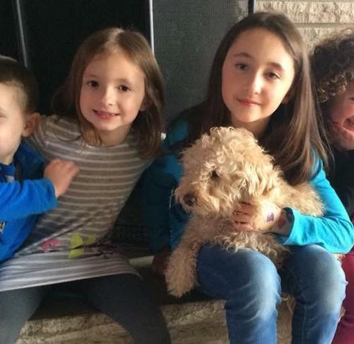 lost dogs reunited with owners