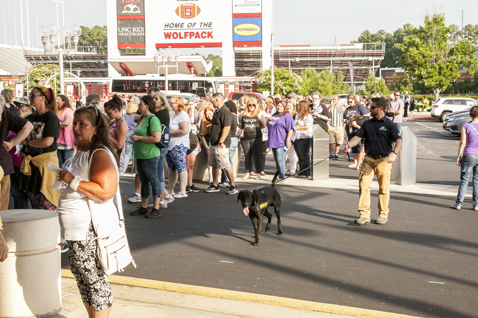 AKC Detection Dog Task Force Domestic Supply of Bomb Dogs